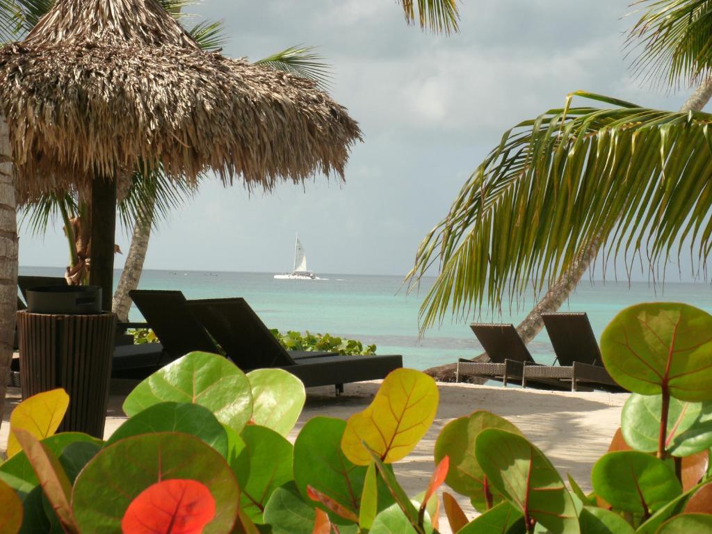 Miranda Bayahibe Hotell Eksteriør bilde
